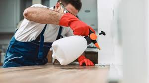 Emergency Pest Control Services in Murphy, TX